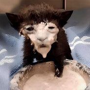 milky Steam avatar