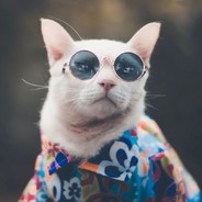 228906 3x griefing ban