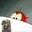 Stimpy