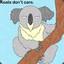Cynical Koala