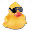 cool duck