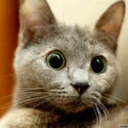 ?Fisch?banditcamp.com