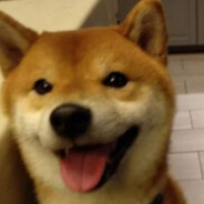 чиф киф 300 - steam id 76561199503690543