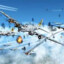 Arctic-17