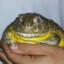 MilowtyOwO