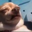 stickynutjuicelol
