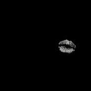 yy1man|💋