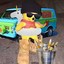 Cachorrita