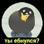Вопрос от воробья