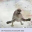 OH FUGGG A GOUGAR
