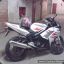 panda_x_treme