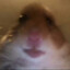 HAMSTERBEAST