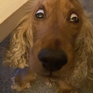 . - steam id 76561199663028661