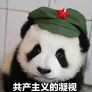 ICU曼巴肘击王小熊猫