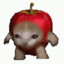 applecat