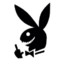 ♥Dirty_hare♥