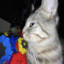 Lodie