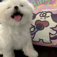 打我没好果汁吃