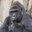 harambe [true rat doto enjoyer]