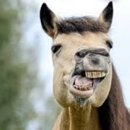 de_derankGmBh2014シ♥