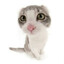 asket