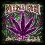 PurpleKusH