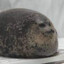 A fat fucking seal