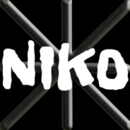 niko:tyna  CS2SKIN.GIFT