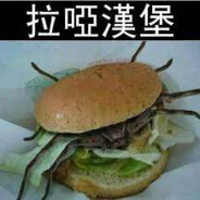 ɹǝƃɹnꓭ ʇǝǝʍS