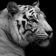 海御冰渊蕭逍遥