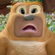 狗熊岭第二悍匪熊