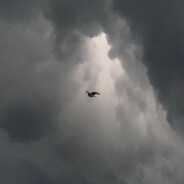 🧟‍♂️🧟‍♂️🧟