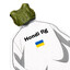 Hondi flg