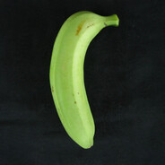 Plátano de Pistache avatar