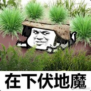 在下伏地魔请赐教