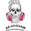 alamdar313