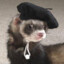 Mr Ferret