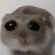 Weird dog