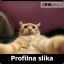 Ermin132