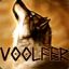 Voolfer