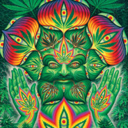 s0ber ♦ - steam id 76561199298469000