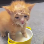 小李想要烫头发