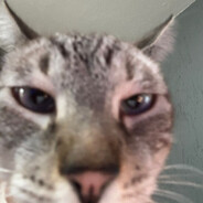 tiZé
