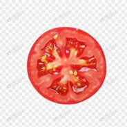 Tomato
