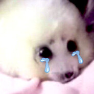 Sad Seal