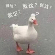 林洛笙