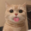 Neb