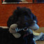Loki_The_Killer