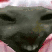 Meminjoooooooooooooooooooooooooo