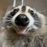 Machape Esquizofrenico